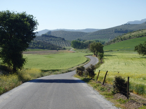 On the road to Montefrío.